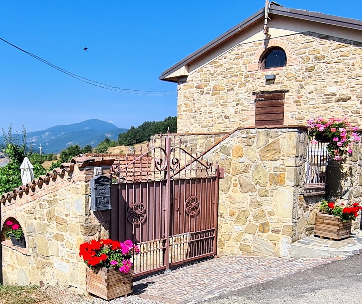 Charming house panoramic view