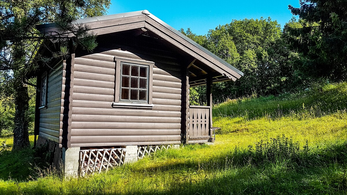 Sommervang Log Cabin -城市与大自然