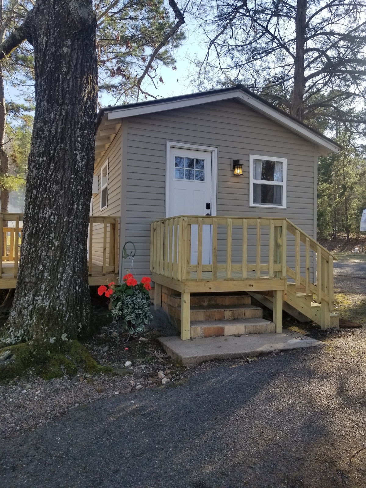 ScrappyJax Cozy Caddo River Cabin