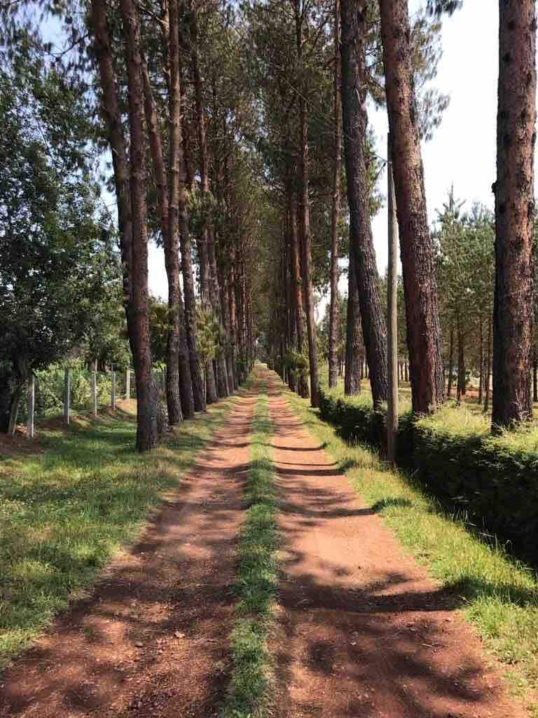 Hermoso rancho en Zacatlán