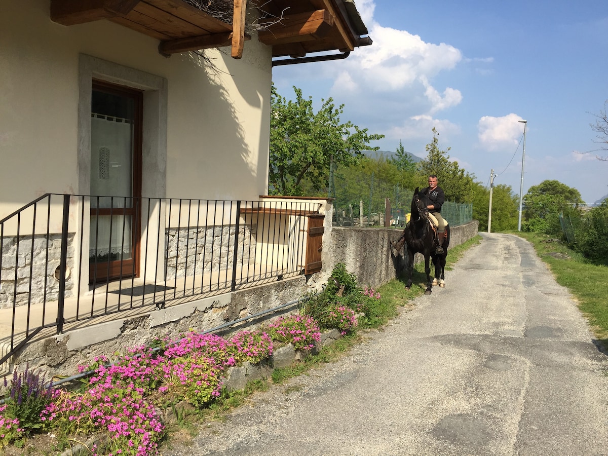 苏萨谷（ Susa Valley ）风格的房子