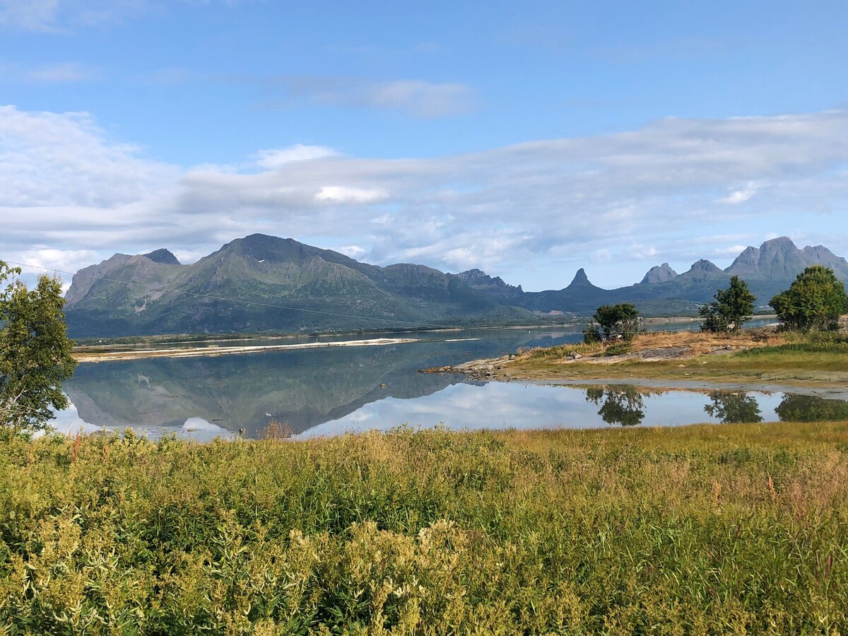 Fiske, naturopplevelser,  ørn, fjell og nordlys.