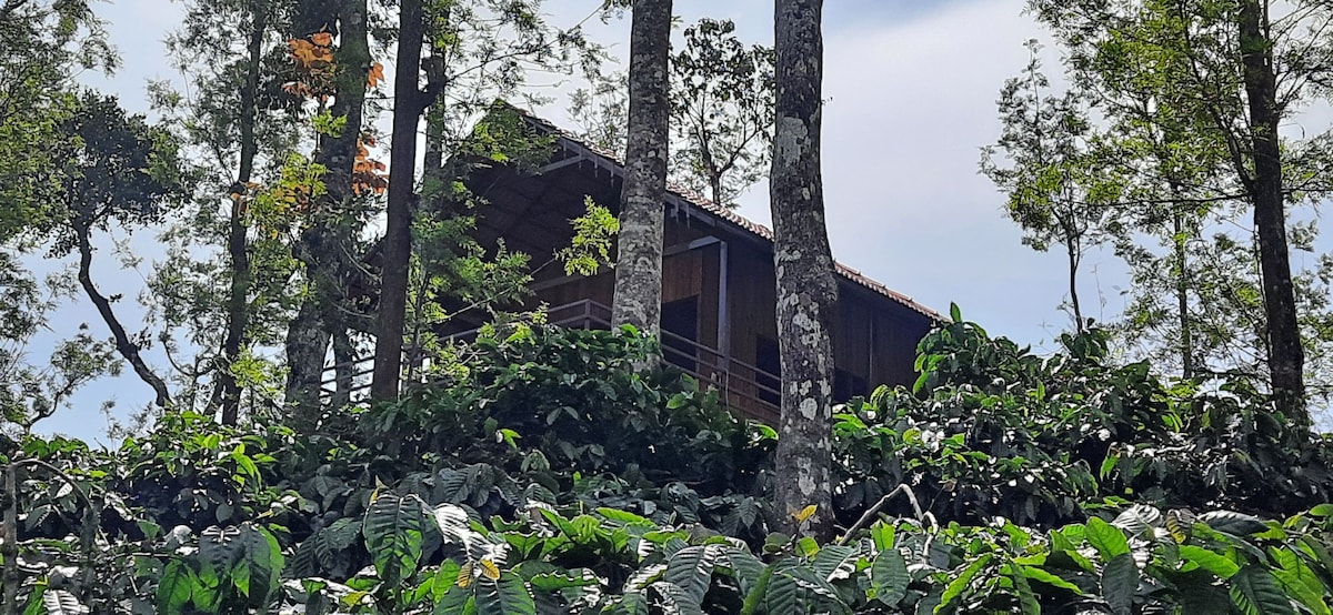 Kambalakaad Holiday Home-Treetop Wooden Villa-2