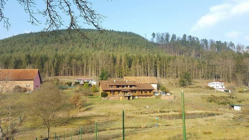 Baerenthal的民宿