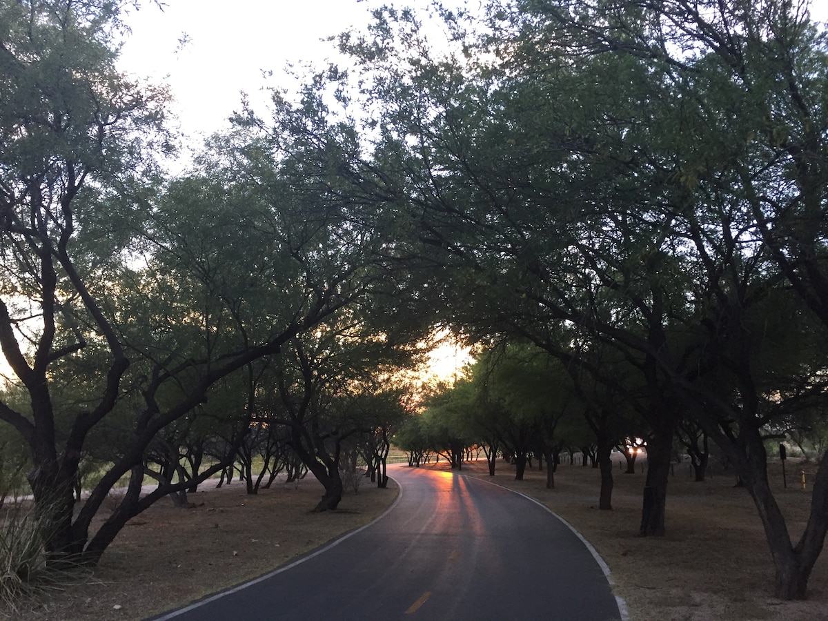 Southwestern Rillito River Trail Home