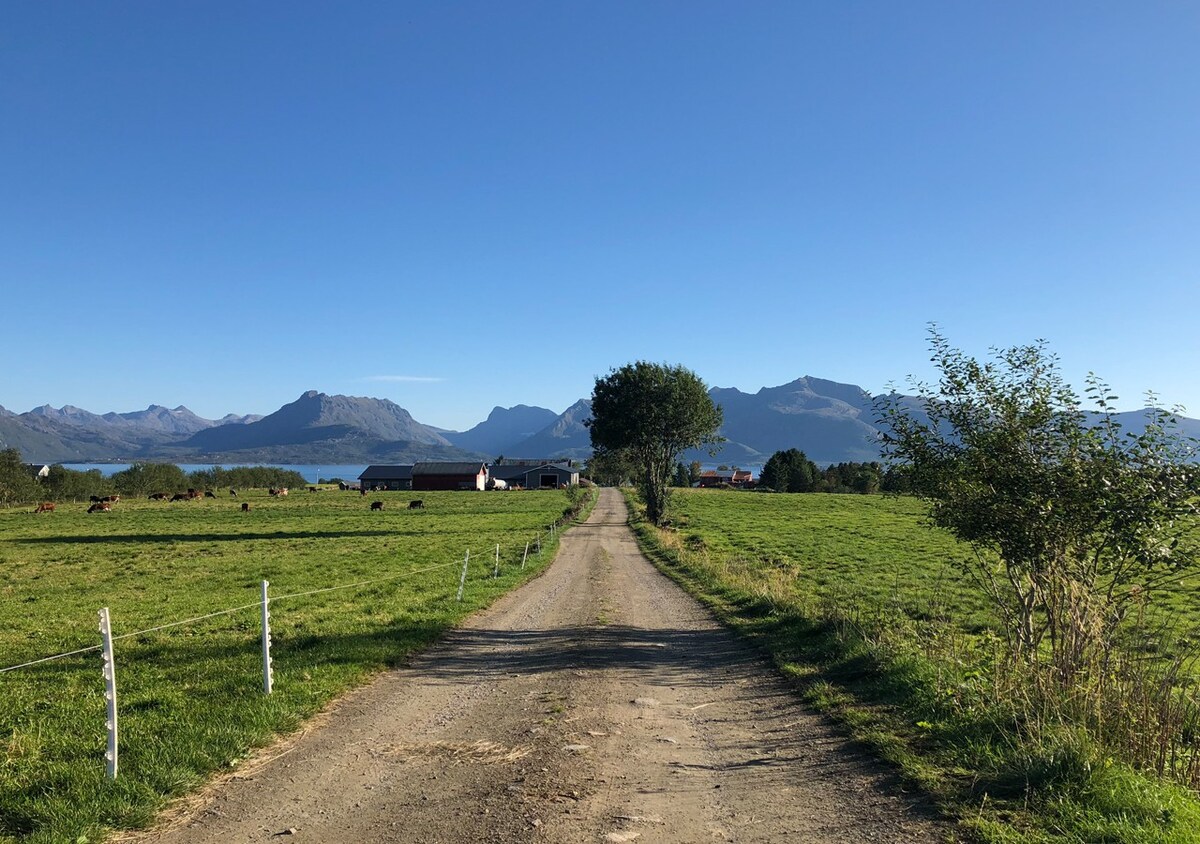 Vesterålen Gem