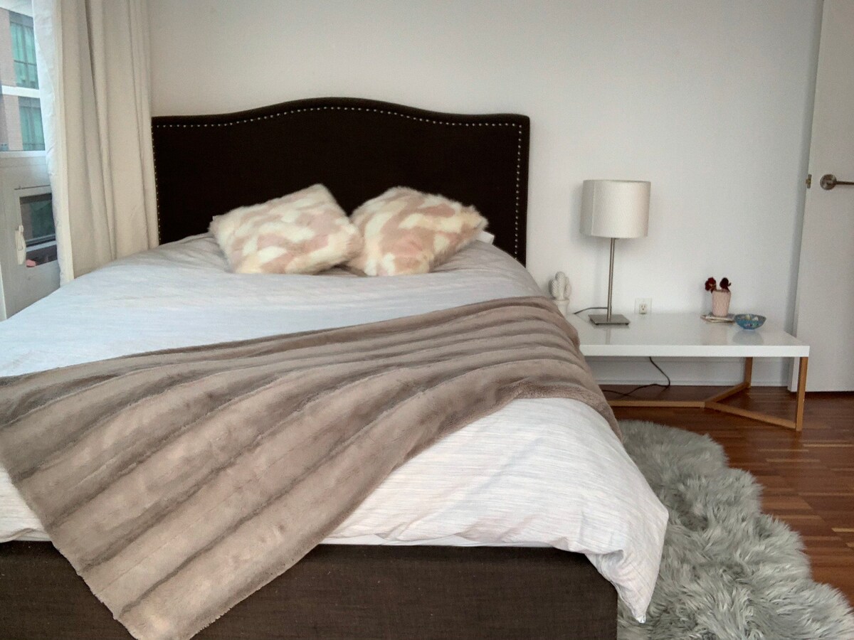 明亮的单卧室共用空间，位于热闹的标准双人床