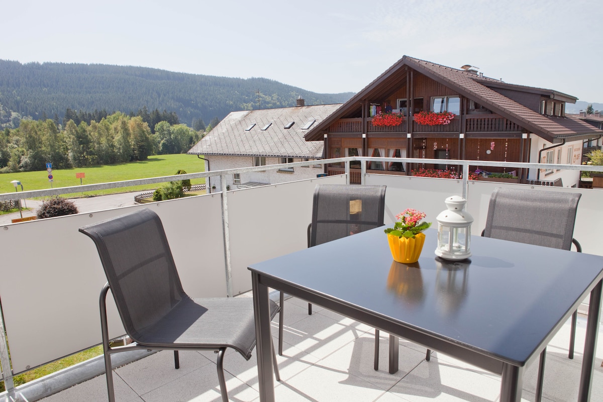 braviscasa-公寓Titisee ，最多4人L12