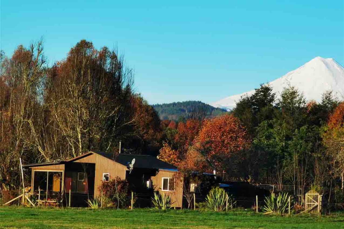 Vista Quepe, agradable cabaña