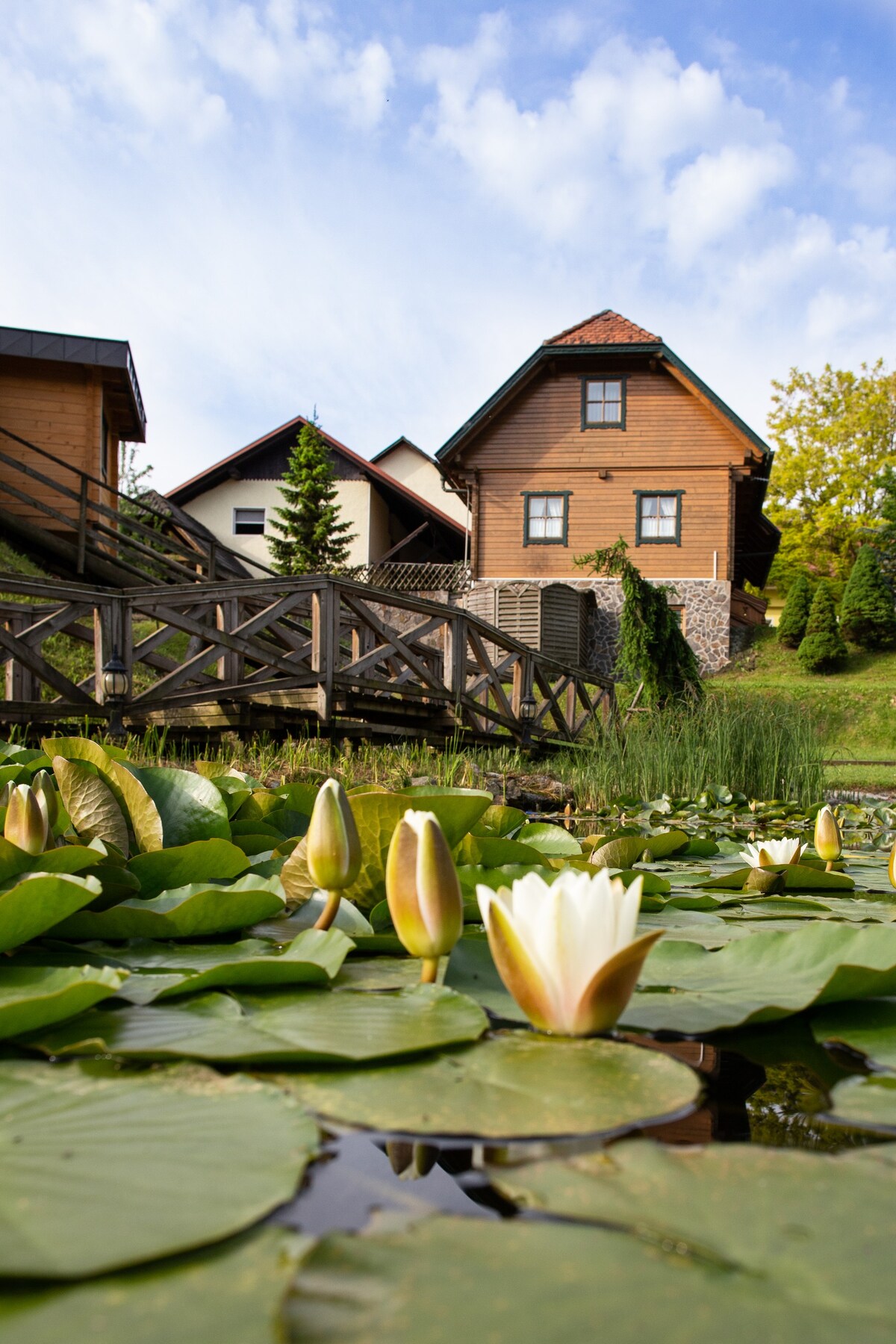 Apartments & Wellness Korošec | Green apartment