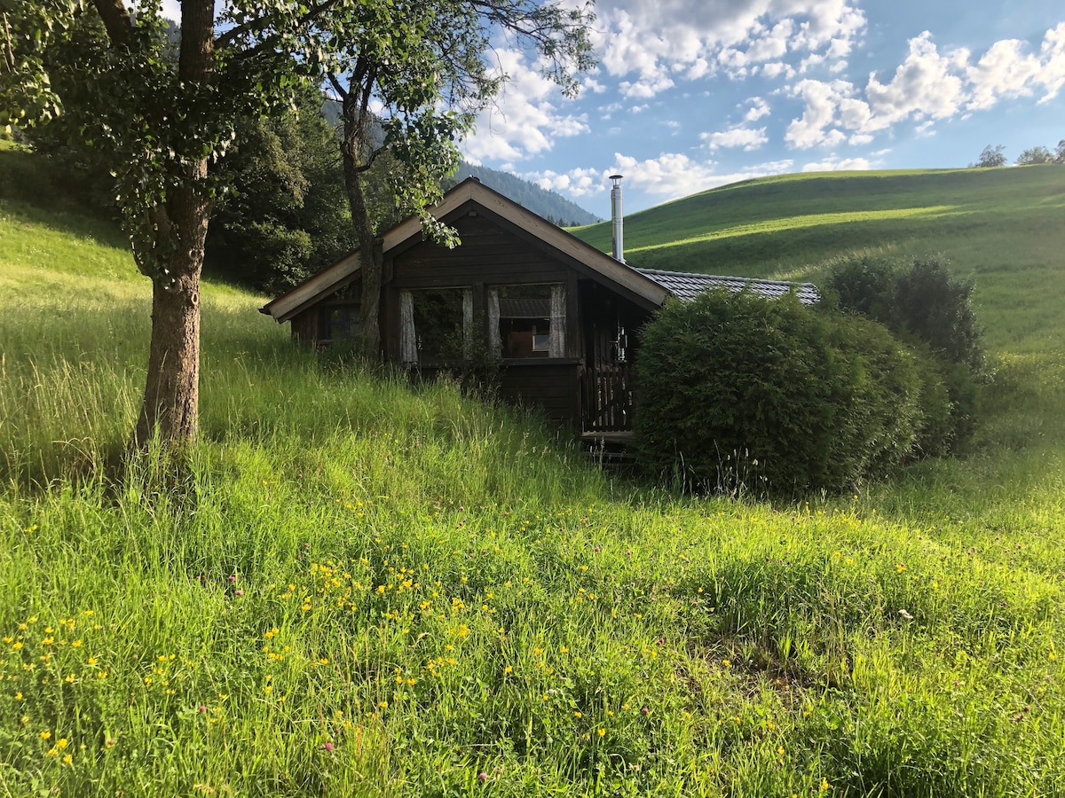 阳光明媚的舒适山间小屋，位置绝佳