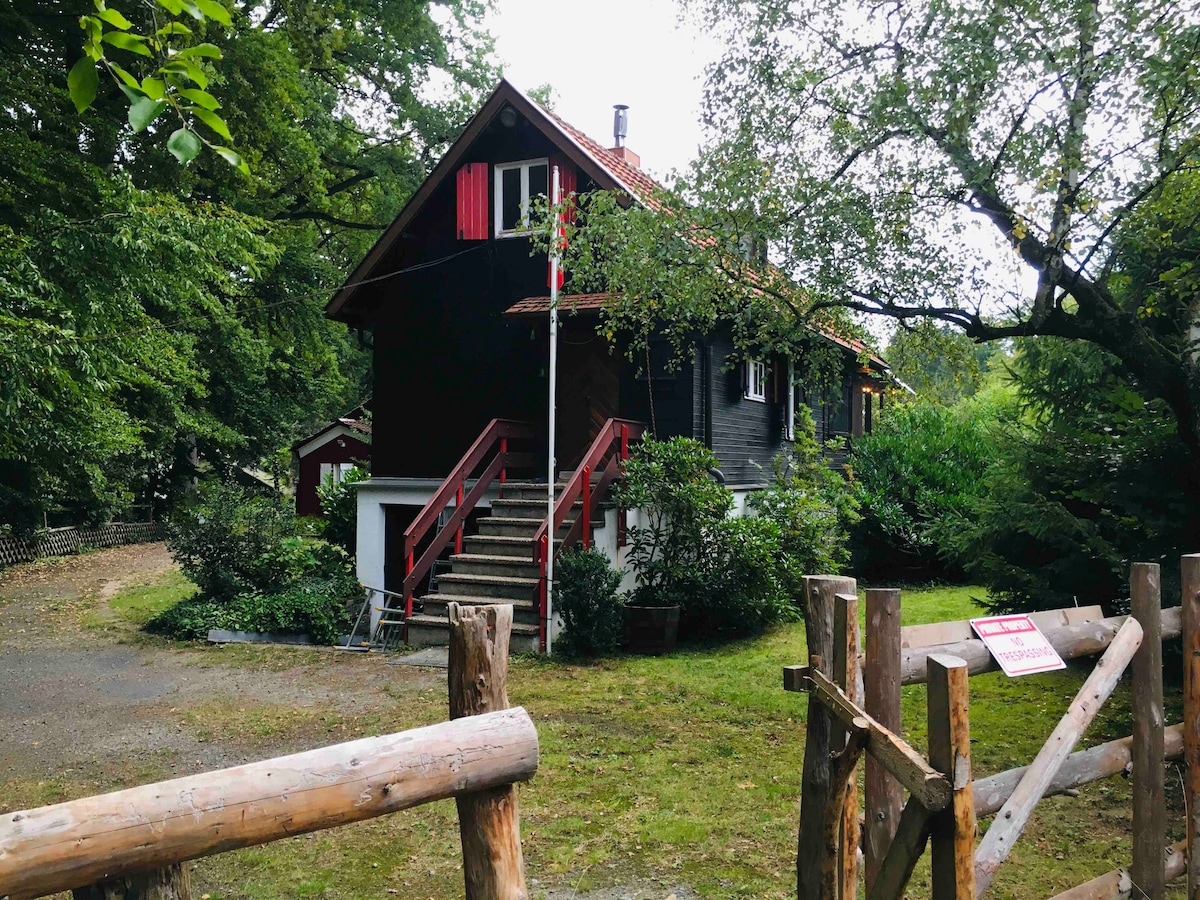 Gemütliches Holzhäuschen im Wald am See