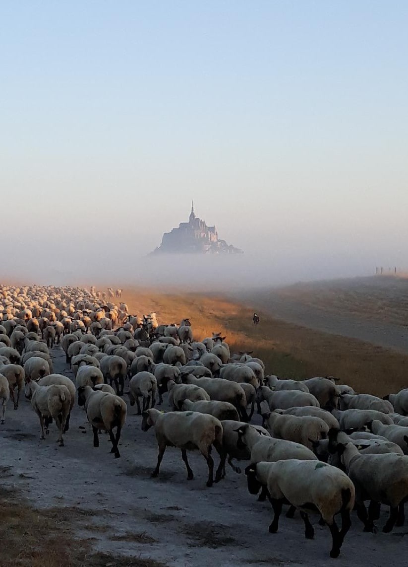 L'Hirondelle ，位于圣米歇尔山（ Mont St-Michel ）下