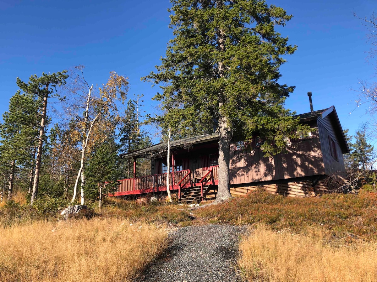 Koselig familiehytte på Blefjell