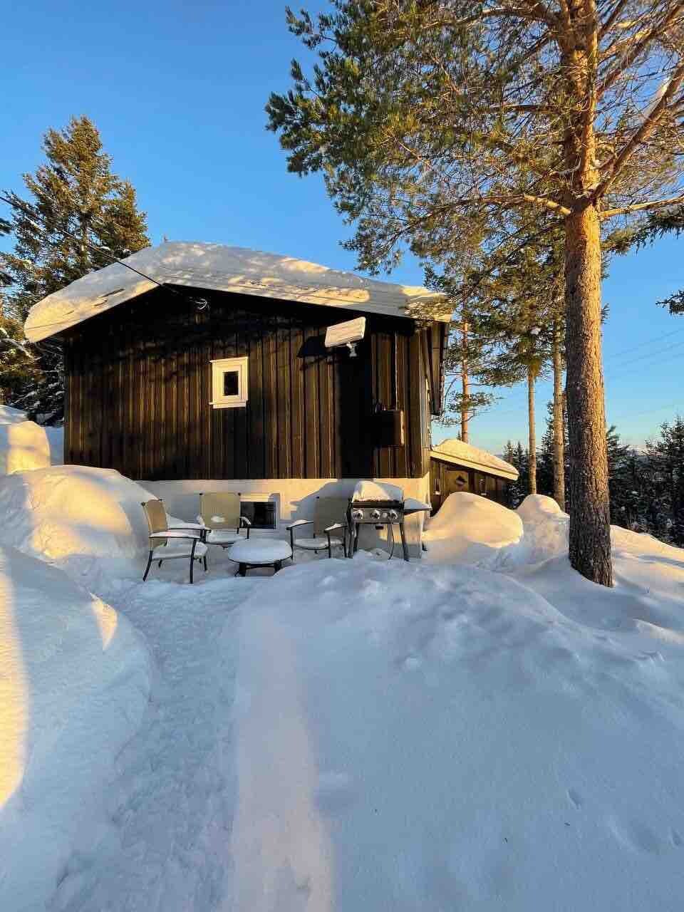 Koselig hytte, med ski-in/ski out