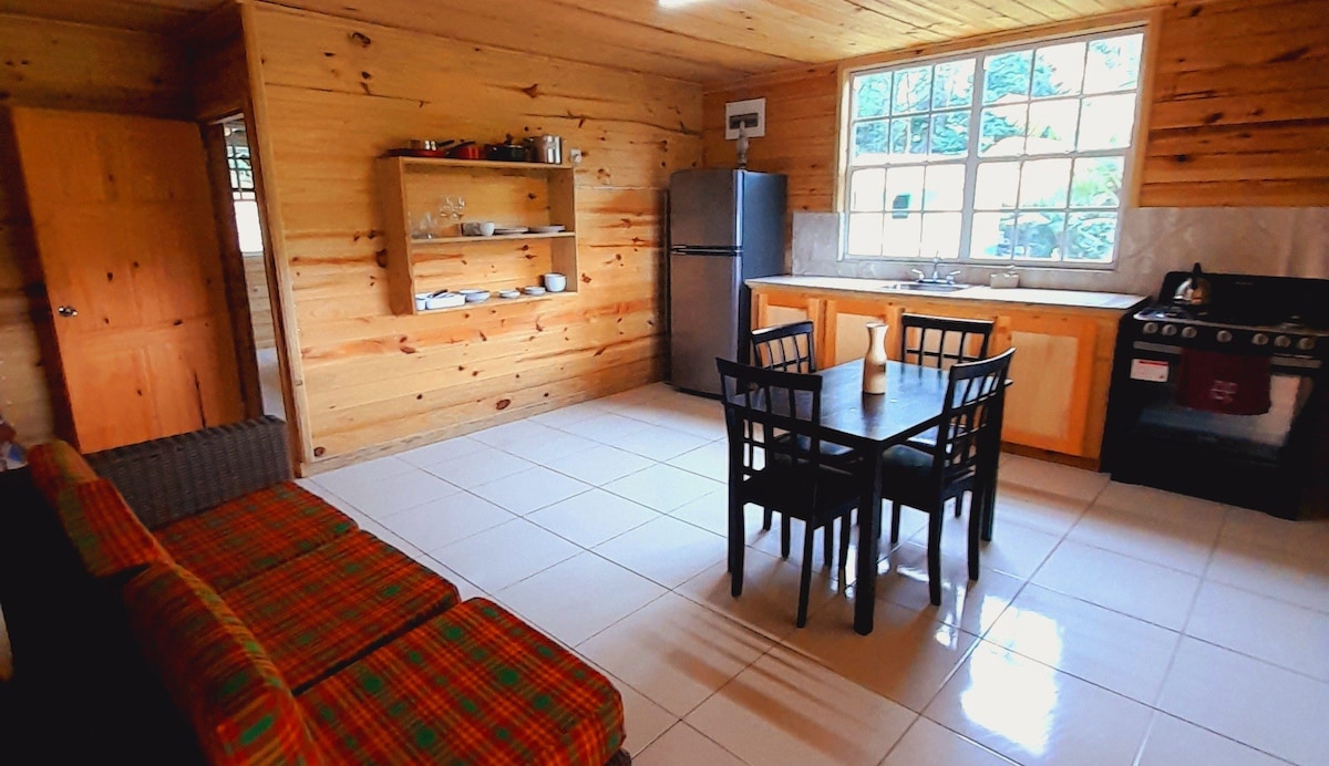 Pinard's Mountain Resort Liberty Suite (Cottage 8)