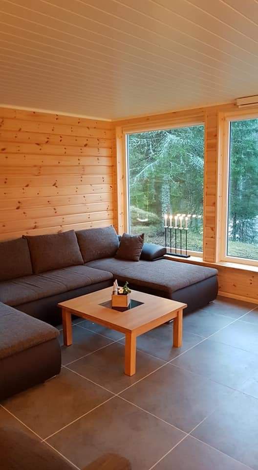 舒适的现代小木屋，配备热水浴缸和桑拿房