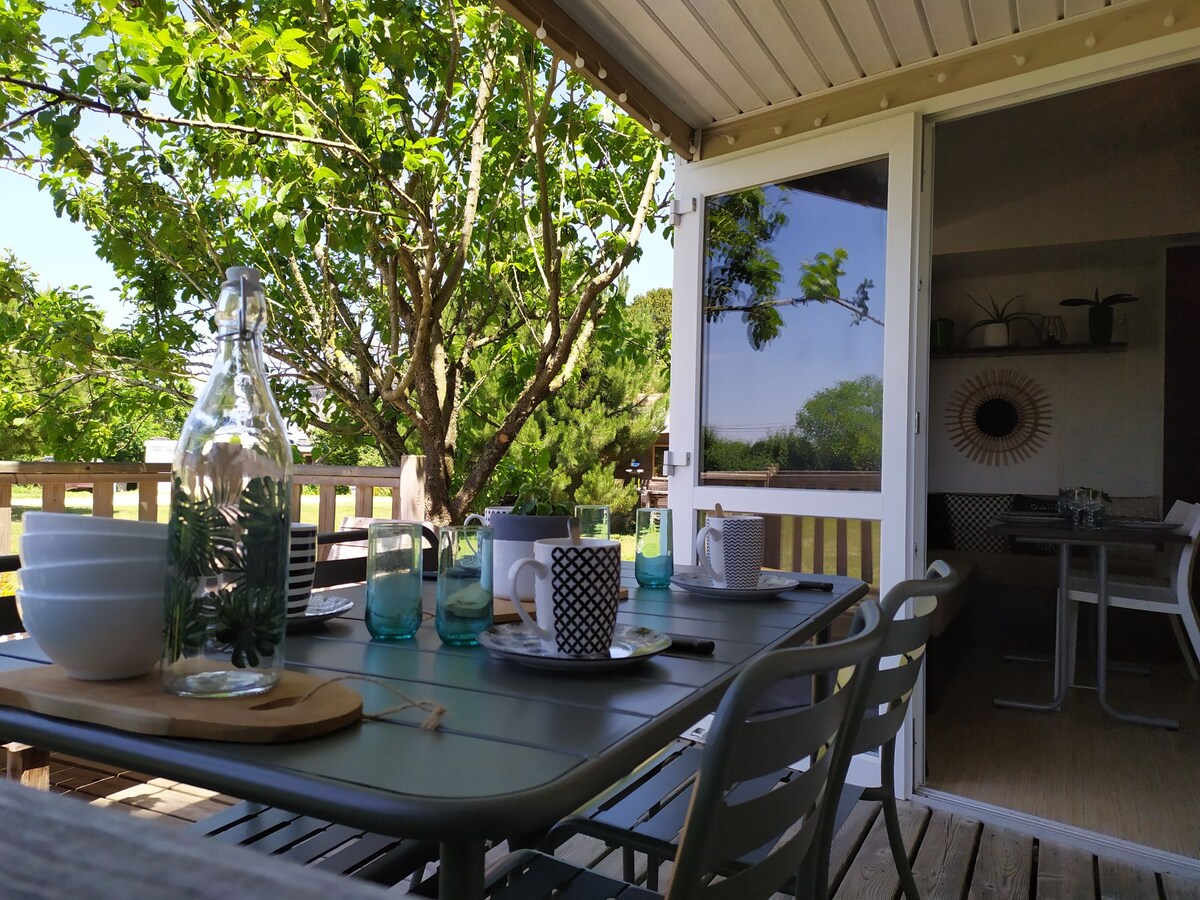 4人份肥皂🌳小屋。🌲