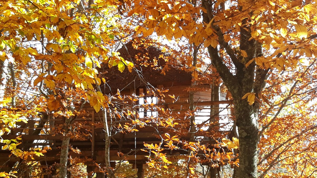 La Cabane des Fayards