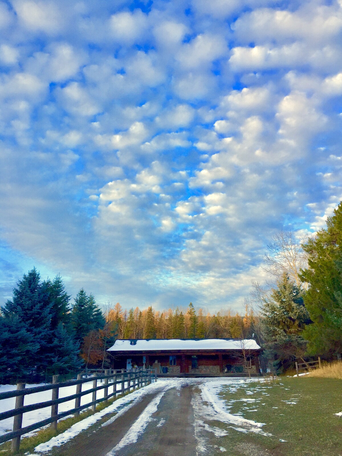 Riverfront Cabin