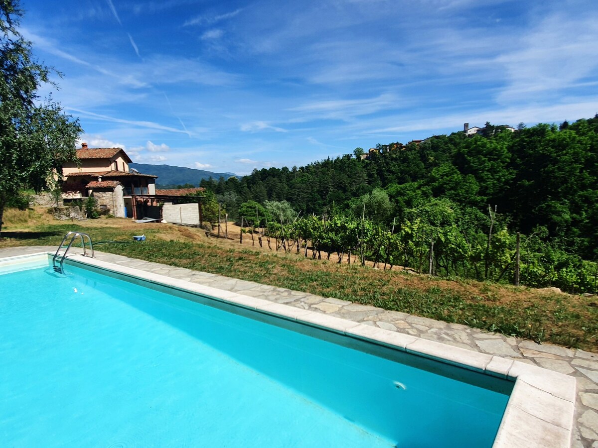 Castello - Vineyard Villa with Private Pool