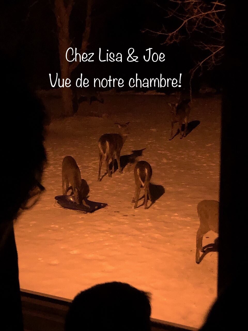 Chez Lisa和Joe （东区）