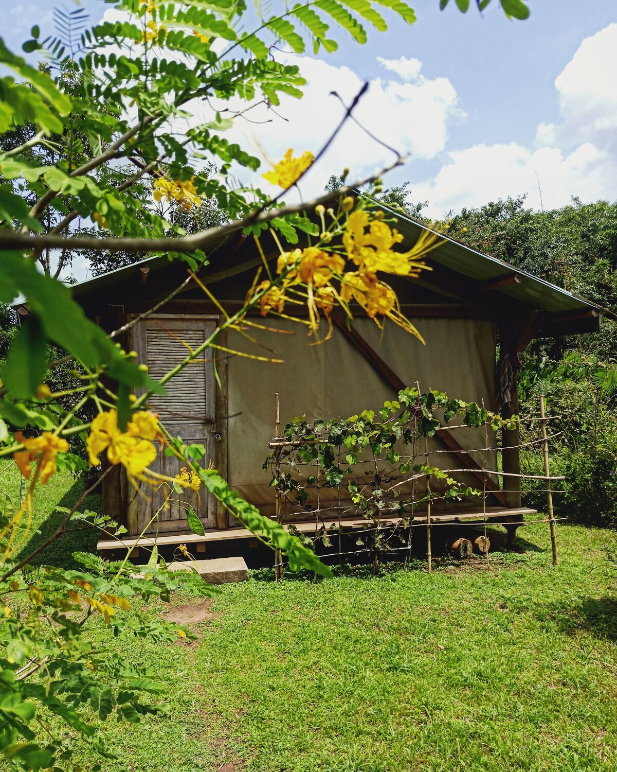 尼罗河岸帐篷营地户外度假胜地