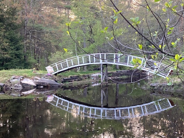 小池塘上的舒适风景小屋，靠近Wyola湖