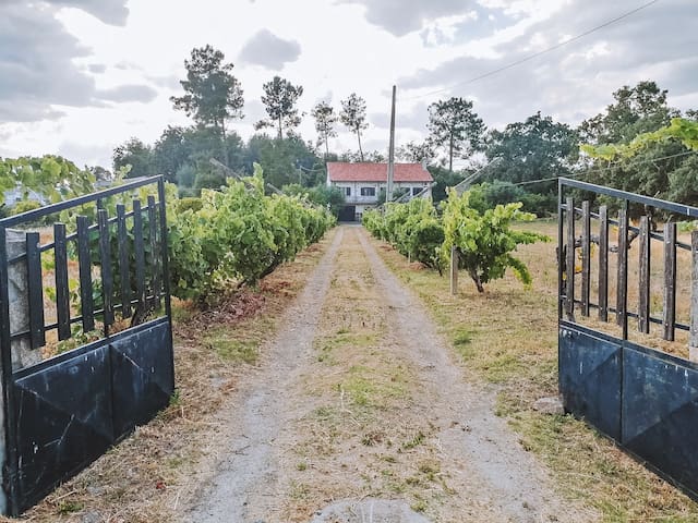 布朗库堡（Castelo Branco）的民宿