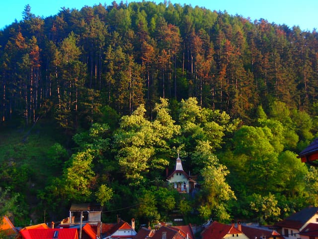 布拉索夫(Brașov)的民宿