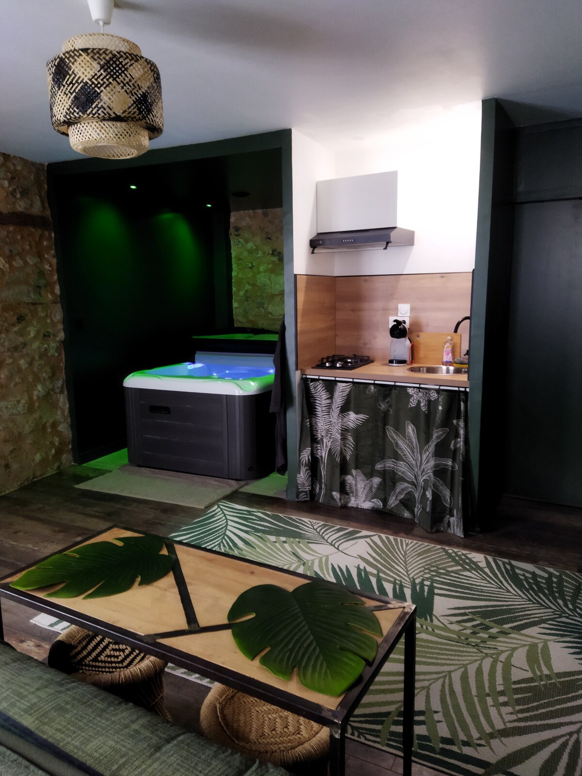 SPA Mensignac : studio jungle spa privatif