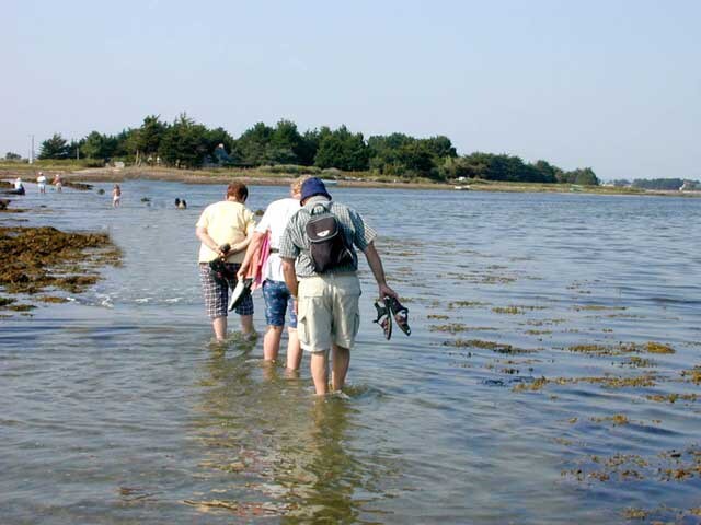 Blue Room in St Armel at 100m Morbihan Gulf ）