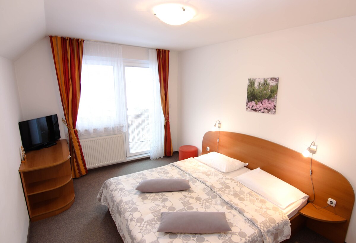 Double room with breakfast, centre of Kr. Gora