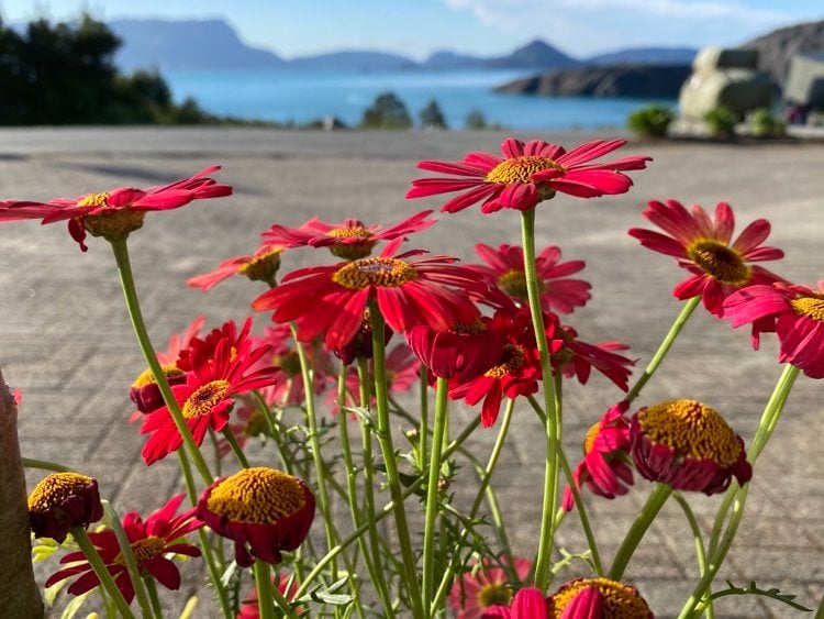 位于Kvinnherad的Hardangerfjorden的独特位置