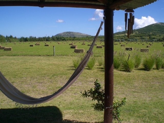 "Los Pasos" chacra ， Punta Negra ，乡村和海洋。