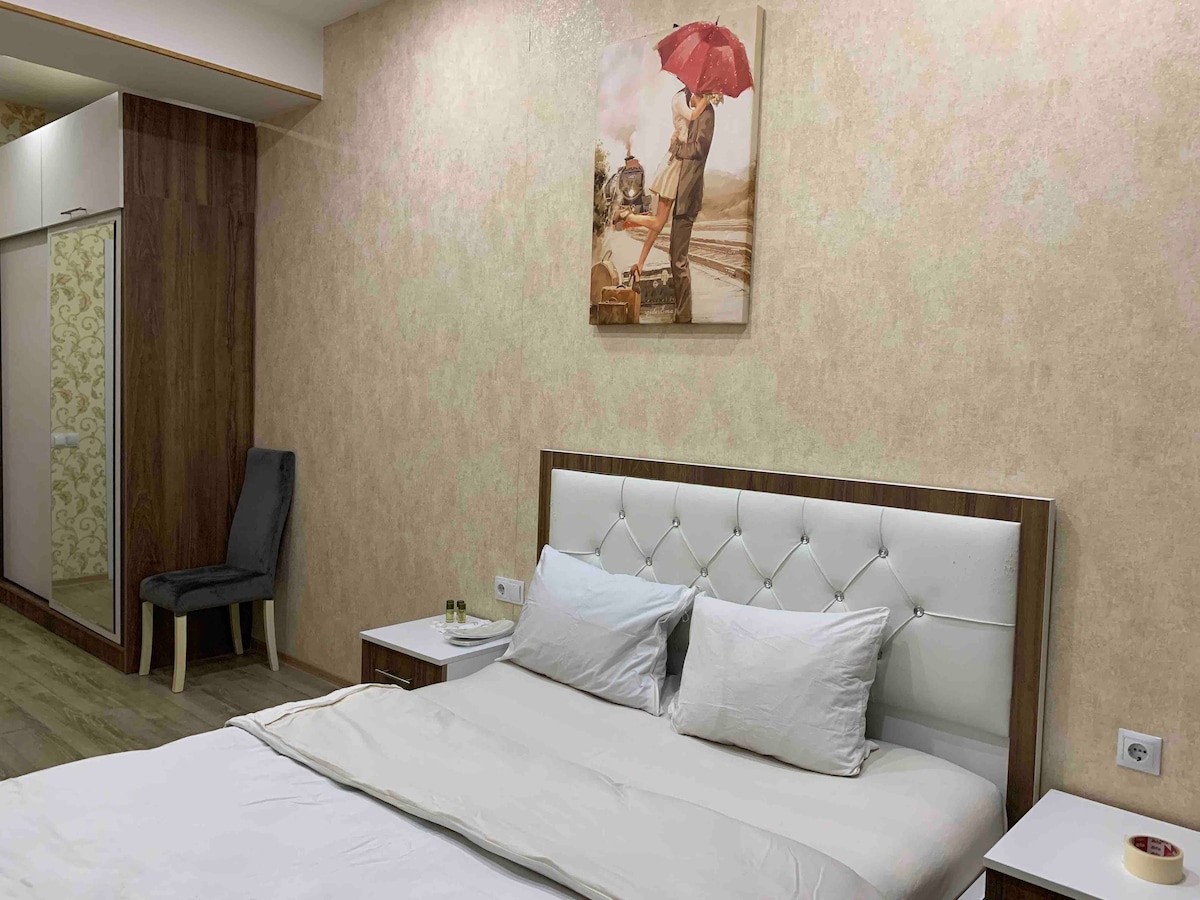 Beautiful 1 bed room apartment in saakadze tower