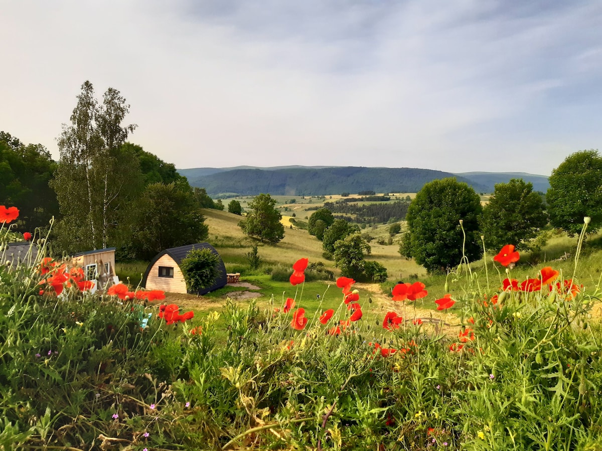 Cabane "Grande Ourse "