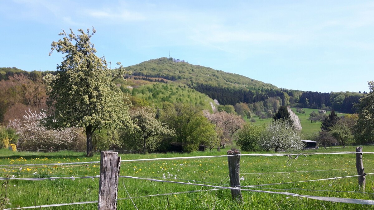 入住Siebengebirge市中心的度假胜地