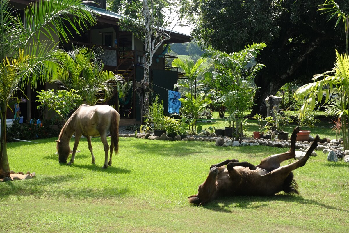 The Seacret Spot Home - 150 M to beach - PILON