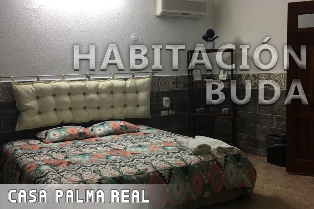 Casa Palma Real -整个住宿