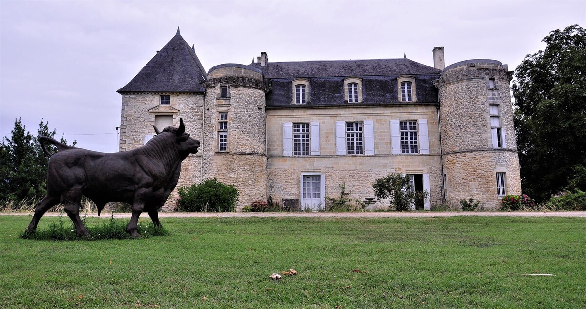 The Tour d 'Henri IV du Chateau de Lescours