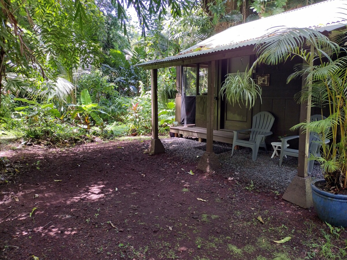 *Private* Jungle Cabin in a Protected Mango Grove