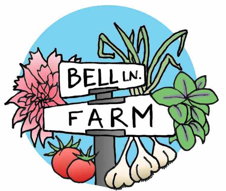 贝尔巷农场（ Bell Lane Farm ）魅力Adobe Casita