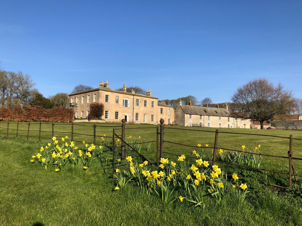 Grand Statley Home - The South Wing, Langton Hall