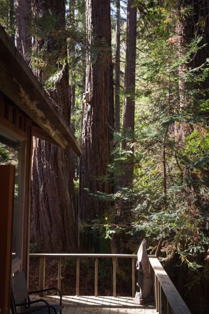 Serene Redwood Retreat w/Modern Comfort