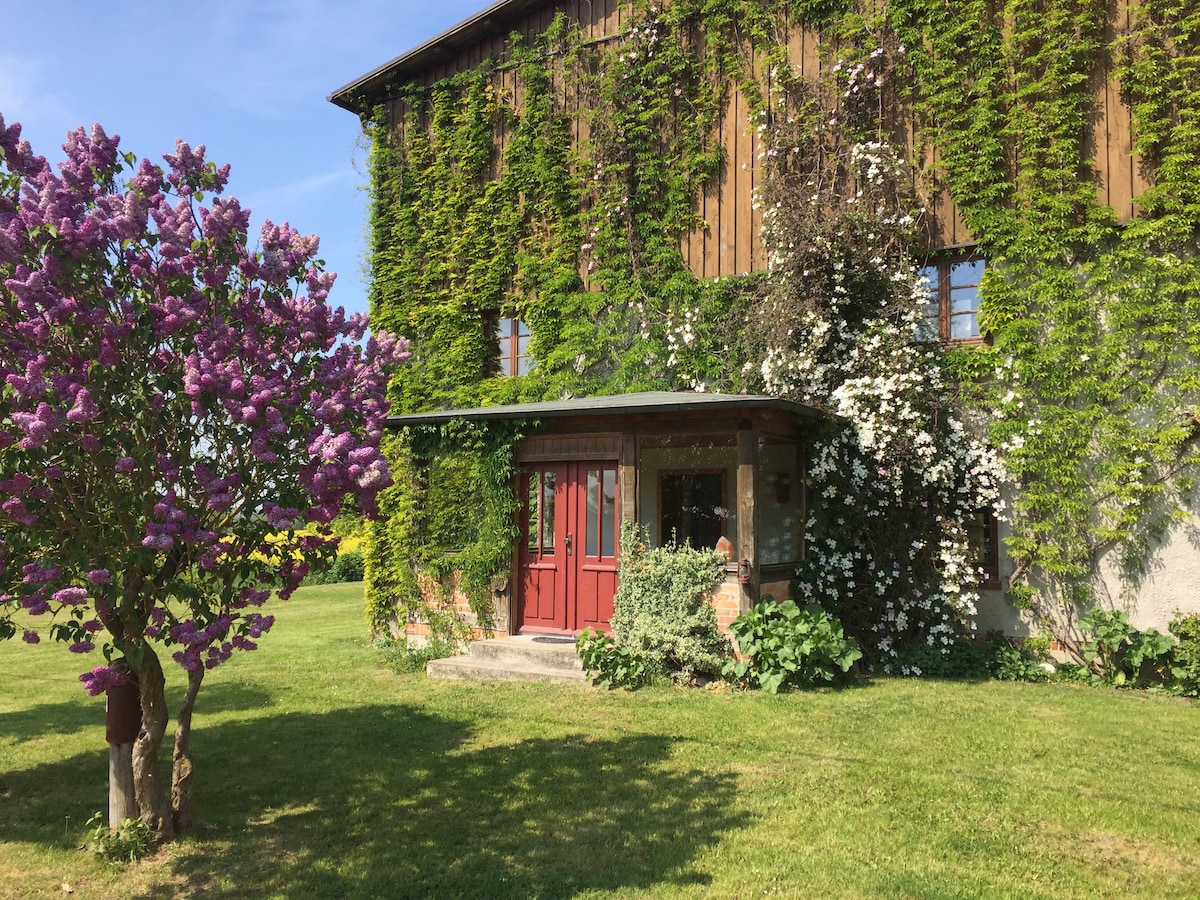 FreiRaum in the Thorstorf estate barn