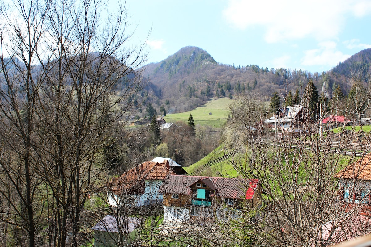 Casa Dragan - Cheile Dambovicioarei