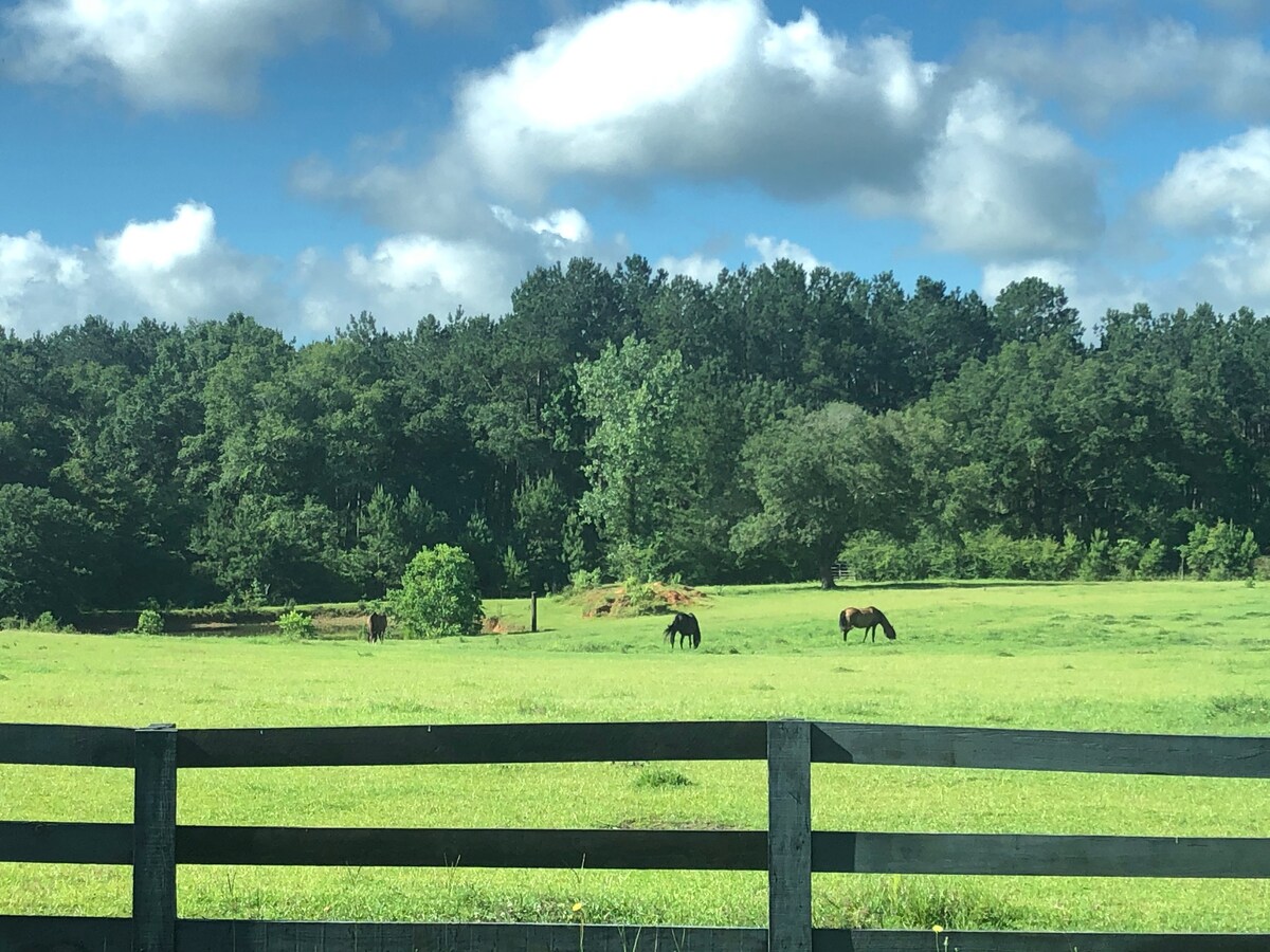 King The Breyer Horse Suite Elegant Horse Estate