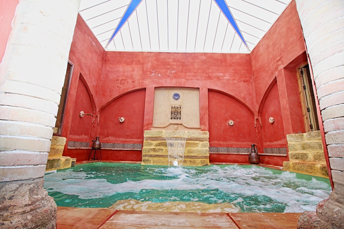 Villa with Sauna Hamman pool in Seville