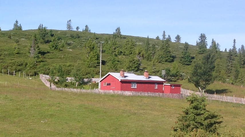 Sør-Fron的民宿